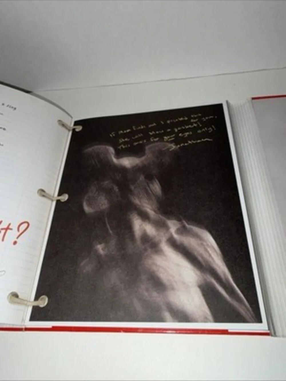 Will Byers: Secret Files (Stranger Things) Book by Matthew J. Gilbert RARE